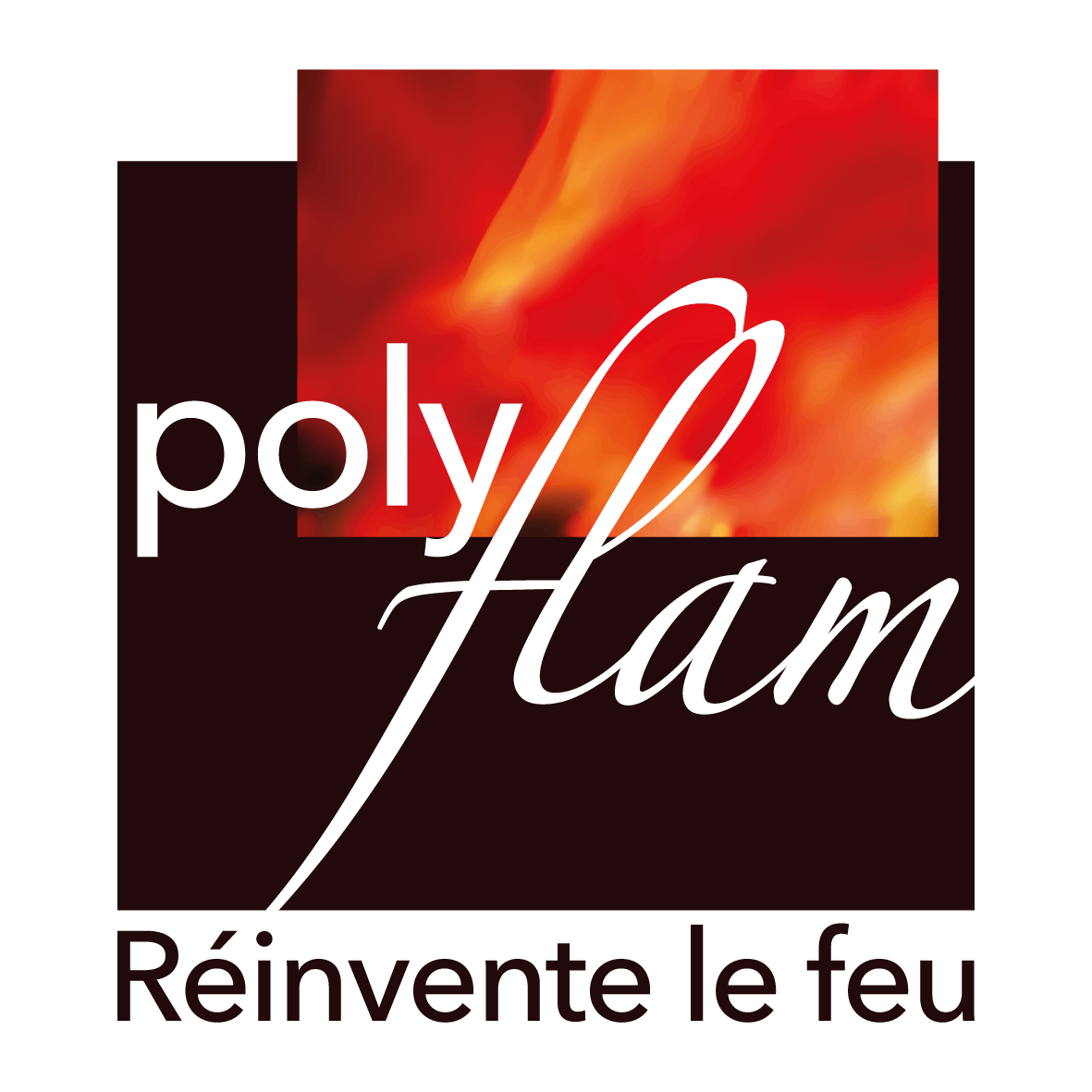 logo de Polyflam